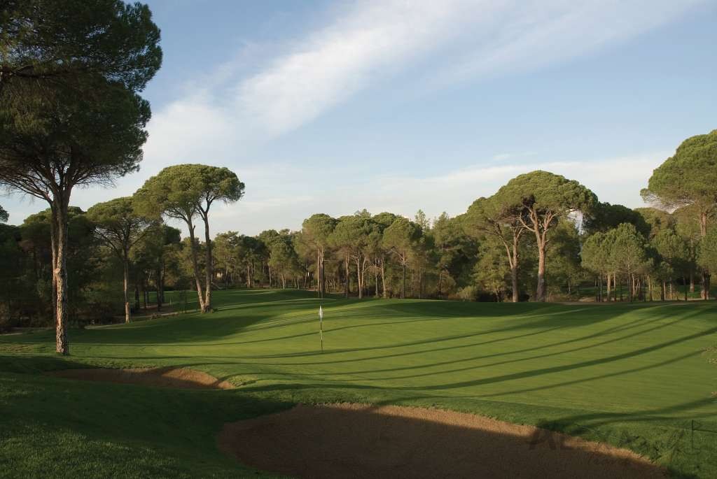 Cornelia Diamond - 7 Nights, 3x Cornelia Golf Faldo Club