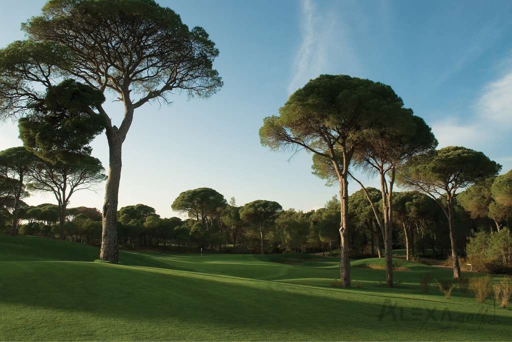 Cornelia Faldo Course
