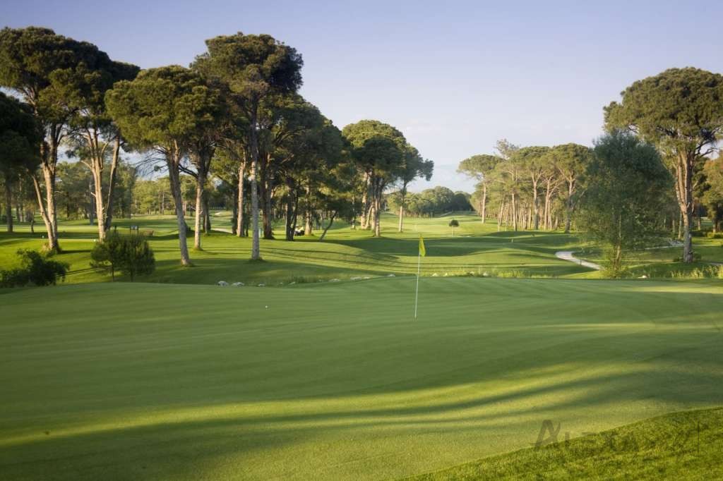 Gloria New Golf Course