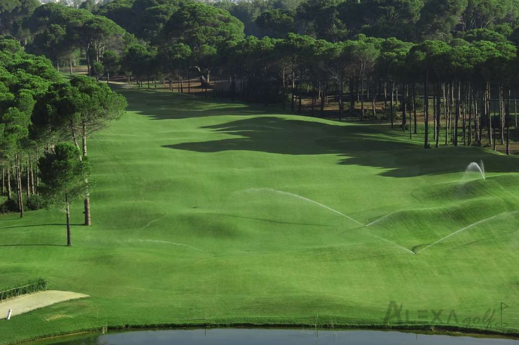 Sueno The Pines Golf Course