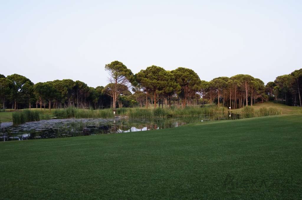 Sueno The Pines Golf Course