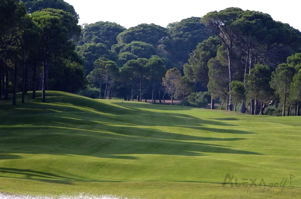 Sueno The Pines Golf Course