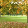 Royal Golf Club Mariánské Lázně: Royal Gof Club Marienbad