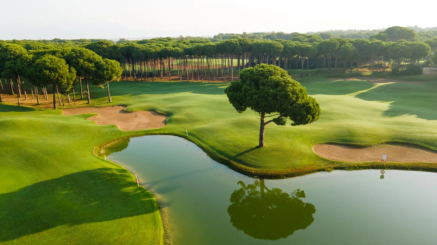 Morning light over a lakeside green and bunkers at Sueno Golf Club